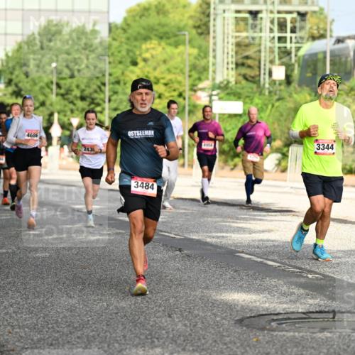 06.09.2026 - CURREX Alsterlauf Dr. Thomas Lammeyer http://msf.ph/oto/10130004 06.09.2026 09:52:02 Laufen 12, 64, 4686, 4954, 243, 3484, 4214, 3344 meine-sportfotos.de