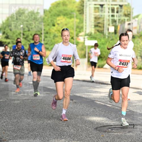 06.09.2026 - CURREX Alsterlauf Dr. Thomas Lammeyer http://msf.ph/oto/10130024 06.09.2026 09:52:05 Laufen 3126, 4686, 2433 meine-sportfotos.de