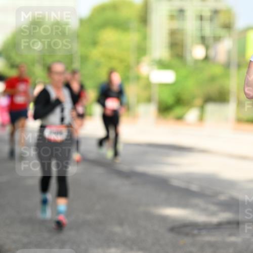 06.09.2026 - CURREX Alsterlauf Dr. Thomas Lammeyer http://msf.ph/oto/10130121 06.09.2026 09:52:18 Laufen  meine-sportfotos.de