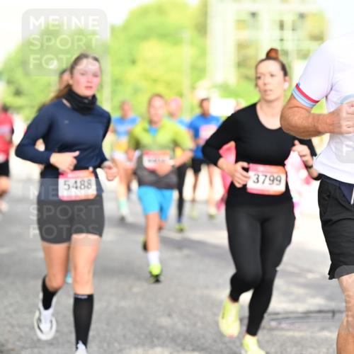 06.09.2026 - CURREX Alsterlauf Dr. Thomas Lammeyer http://msf.ph/oto/10130208 06.09.2026 09:52:26 Laufen 11, 5488, 3799, 3929 meine-sportfotos.de