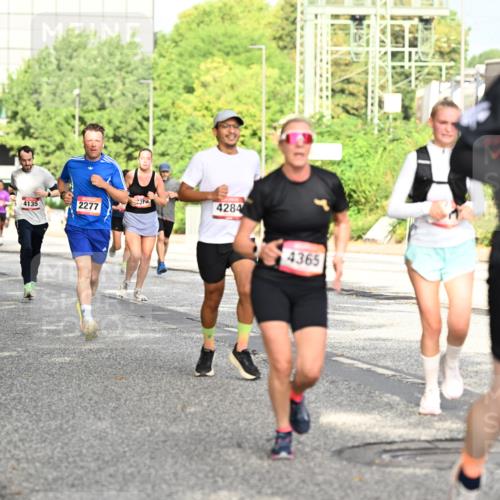 06.09.2026 - CURREX Alsterlauf Dr. Thomas Lammeyer http://msf.ph/oto/10130268 06.09.2026 09:52:32 Laufen 8211, 3225, 4135, 2277, 237, 4284, 4365, 4190 meine-sportfotos.de