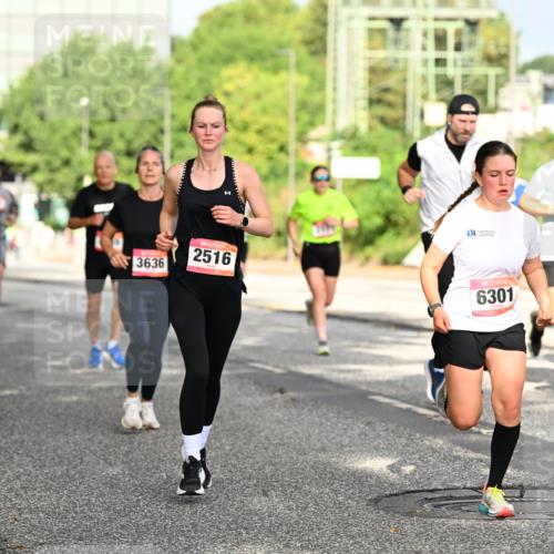 06.09.2026 - CURREX Alsterlauf Dr. Thomas Lammeyer http://msf.ph/oto/10130406 06.09.2026 09:52:45 Laufen 3636, 2516, 6301 meine-sportfotos.de