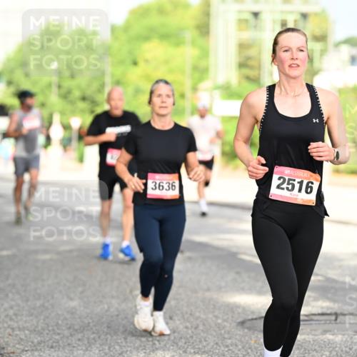 06.09.2026 - CURREX Alsterlauf Dr. Thomas Lammeyer http://msf.ph/oto/10130418 06.09.2026 09:52:47 Laufen 3636, 2516 meine-sportfotos.de