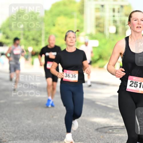 06.09.2026 - CURREX Alsterlauf Dr. Thomas Lammeyer http://msf.ph/oto/10130421 06.09.2026 09:52:47 Laufen 11, 3636, 2516 meine-sportfotos.de