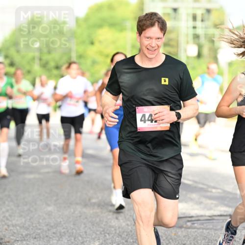 06.09.2026 - CURREX Alsterlauf Dr. Thomas Lammeyer http://msf.ph/oto/10130630 06.09.2026 09:53:11 Laufen 11, 806, 442, 5473 meine-sportfotos.de