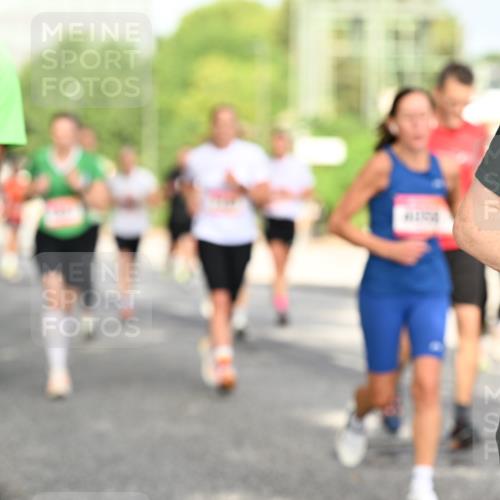 06.09.2026 - CURREX Alsterlauf Dr. Thomas Lammeyer http://msf.ph/oto/10130641 06.09.2026 09:53:12 Laufen  meine-sportfotos.de