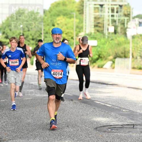 06.09.2026 - CURREX Alsterlauf Dr. Thomas Lammeyer http://msf.ph/oto/10130852 06.09.2026 09:53:31 Laufen 3606, 4014, 3519 meine-sportfotos.de