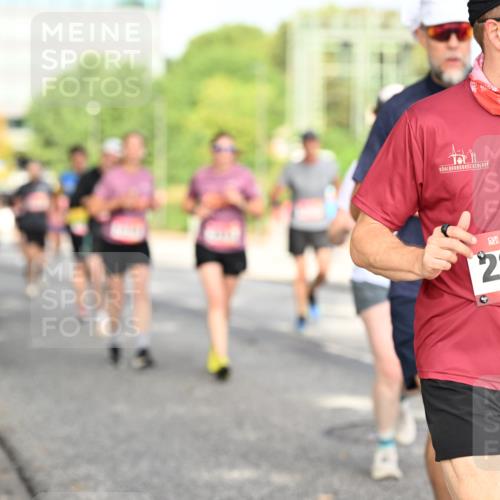 06.09.2026 - CURREX Alsterlauf Dr. Thomas Lammeyer http://msf.ph/oto/10131053 06.09.2026 09:53:55 Laufen 228 meine-sportfotos.de