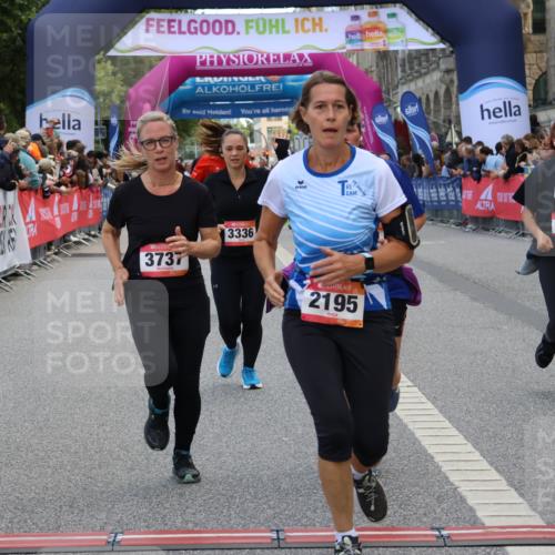 06.09.2026 - CURREX Alsterlauf Strokosch-Dieckow http://msf.ph/oto/10131465 06.09.2026 10:05:22 Ziel 1239, 2195, 3011, 3336, 3737, 3838, 3890, 4151, 4642, 4769, 6155, 6242, 6392, 8243 meine-sportfotos.de