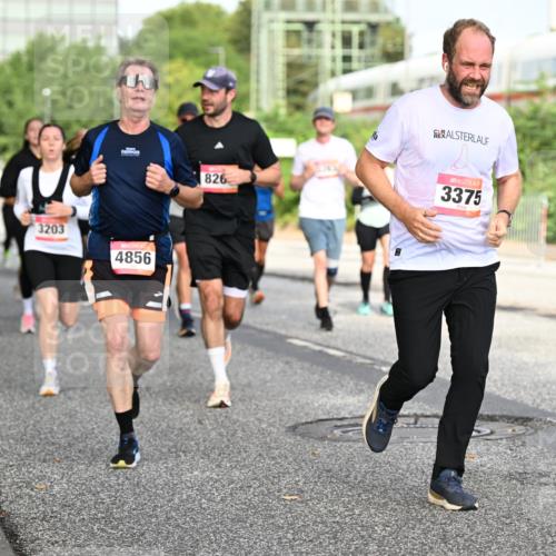06.09.2026 - CURREX Alsterlauf Dr. Thomas Lammeyer http://msf.ph/oto/10131944 06.09.2026 09:55:42 Laufen 3203, 4856, 826, 3375 meine-sportfotos.de