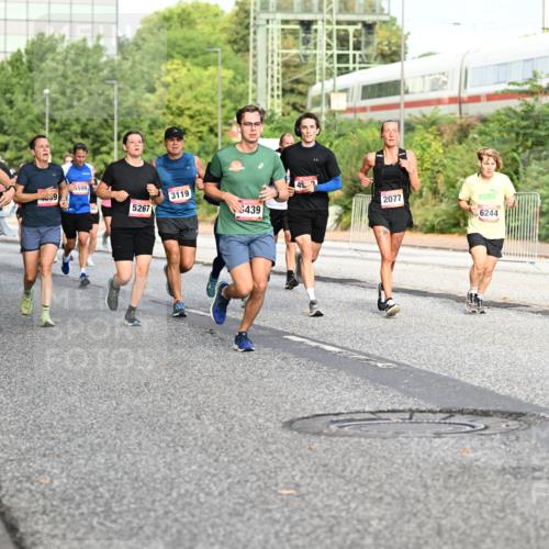 06.09.2026 - CURREX Alsterlauf Dr. Thomas Lammeyer http://msf.ph/oto/10132241 06.09.2026 09:56:13 Laufen 3414, 3969, 323, 5599, 5267, 3119, 439, 2077, 6244 meine-sportfotos.de