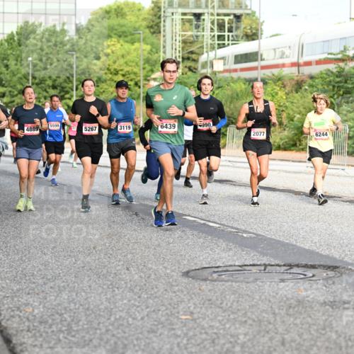 06.09.2026 - CURREX Alsterlauf Dr. Thomas Lammeyer http://msf.ph/oto/10132242 06.09.2026 09:56:13 Laufen 3969, 3414, 5599, 4889, 5267, 3119, 6439, 990, 274, 2077, 6244 meine-sportfotos.de