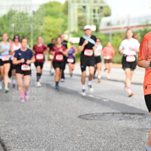 06.09.2026 - CURREX Alsterlauf Dr. Thomas Lammeyer http://msf.ph/oto/10132359 06.09.2026 09:56:25 Laufen 30, 2743 meine-sportfotos.de