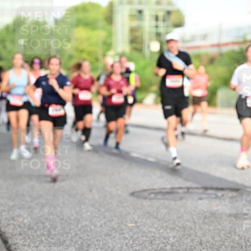 06.09.2026 - CURREX Alsterlauf Dr. Thomas Lammeyer http://msf.ph/oto/10132367 06.09.2026 09:56:25 Laufen  meine-sportfotos.de