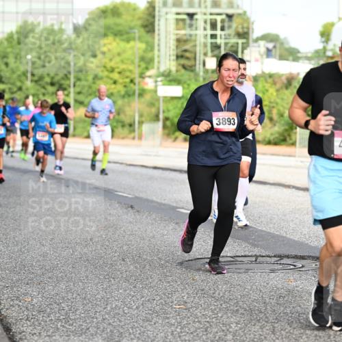 06.09.2026 - CURREX Alsterlauf Dr. Thomas Lammeyer http://msf.ph/oto/10132435 06.09.2026 09:56:32 Laufen 2487, 3893, 4042 meine-sportfotos.de