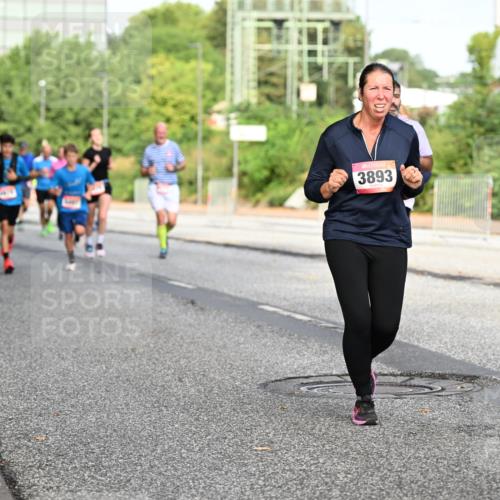 06.09.2026 - CURREX Alsterlauf Dr. Thomas Lammeyer http://msf.ph/oto/10132439 06.09.2026 09:56:33 Laufen 3893, 40 meine-sportfotos.de