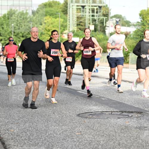 06.09.2026 - CURREX Alsterlauf Dr. Thomas Lammeyer http://msf.ph/oto/10132615 06.09.2026 09:56:51 Laufen 5567, 2124, 2273, 10, 2080, 2274, 4461, 0, 4031 meine-sportfotos.de