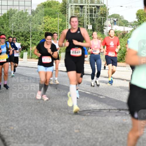 06.09.2026 - CURREX Alsterlauf Dr. Thomas Lammeyer http://msf.ph/oto/10132785 06.09.2026 09:57:08 Laufen 8140, 1068, 6187, 6347, 2849, 4318 meine-sportfotos.de