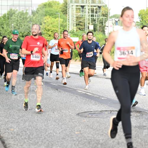 06.09.2026 - CURREX Alsterlauf Dr. Thomas Lammeyer http://msf.ph/oto/10132978 06.09.2026 09:57:27 Laufen 1231, 6353, 37, 3312, 5460, 507, 2977, 6356, 3634 meine-sportfotos.de