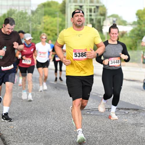 06.09.2026 - CURREX Alsterlauf Dr. Thomas Lammeyer http://msf.ph/oto/10133407 06.09.2026 09:58:09 Laufen 2229, 5388, 3448 meine-sportfotos.de
