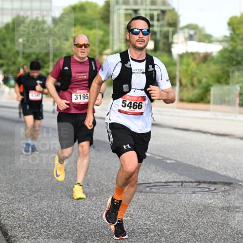 06.09.2026 - CURREX Alsterlauf Dr. Thomas Lammeyer http://msf.ph/oto/10133532 06.09.2026 09:58:26 Laufen 6547, 3195, 5466, 1 meine-sportfotos.de