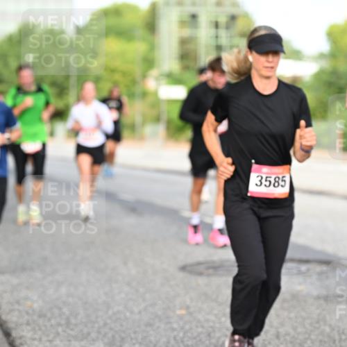06.09.2026 - CURREX Alsterlauf Dr. Thomas Lammeyer http://msf.ph/oto/10133636 06.09.2026 09:58:36 Laufen 3585, 1 meine-sportfotos.de
