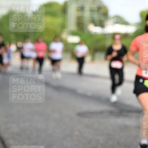 06.09.2026 - CURREX Alsterlauf Dr. Thomas Lammeyer http://msf.ph/oto/10133723 06.09.2026 09:58:45 Laufen 2783 meine-sportfotos.de