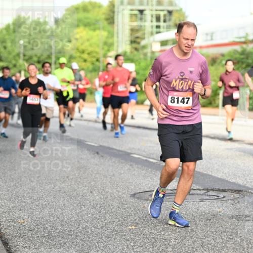 06.09.2026 - CURREX Alsterlauf Dr. Thomas Lammeyer http://msf.ph/oto/10134070 06.09.2026 09:59:16 Laufen 3252, 8147 meine-sportfotos.de