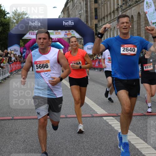 06.09.2026 - CURREX Alsterlauf Strokosch-Dieckow http://msf.ph/oto/10134190 06.09.2026 09:54:49 Ziel 2395, 2433, 2451, 2587, 2640, 3251, 3413, 3629, 3991, 4206, 4394, 4458, 4974, 5165, 5657, 5666, 6079, 6191, 6210 meine-sportfotos.de