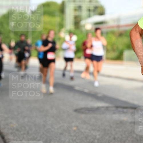 06.09.2026 - CURREX Alsterlauf Dr. Thomas Lammeyer http://msf.ph/oto/10134262 06.09.2026 09:59:32 Laufen 2026 meine-sportfotos.de