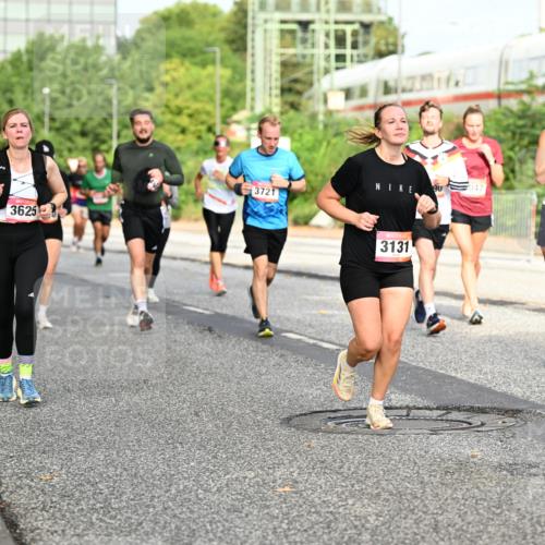 06.09.2026 - CURREX Alsterlauf Dr. Thomas Lammeyer http://msf.ph/oto/10134280 06.09.2026 09:59:33 Laufen 3721, 3625, 3131, 047, 4310 meine-sportfotos.de