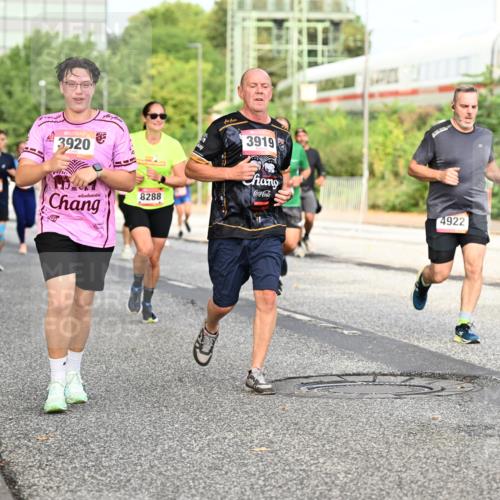06.09.2026 - CURREX Alsterlauf Dr. Thomas Lammeyer http://msf.ph/oto/10134339 06.09.2026 09:59:39 Laufen 1234, 3920, 8288, 3919, 4922, 00 meine-sportfotos.de