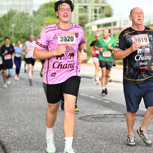 06.09.2026 - CURREX Alsterlauf Dr. Thomas Lammeyer http://msf.ph/oto/10134352 06.09.2026 09:59:40 Laufen 76, 3920, 41, 3919 meine-sportfotos.de