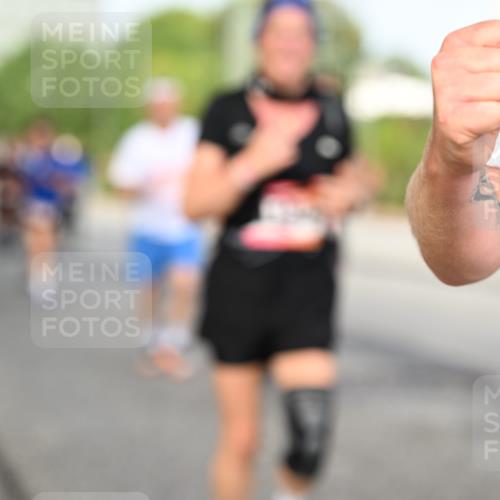 06.09.2026 - CURREX Alsterlauf Dr. Thomas Lammeyer http://msf.ph/oto/10134640 06.09.2026 10:00:05 Laufen  meine-sportfotos.de