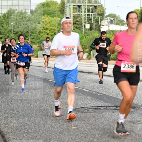 06.09.2026 - CURREX Alsterlauf Dr. Thomas Lammeyer http://msf.ph/oto/10134649 06.09.2026 10:00:06 Laufen 4943, 2429, 3651, 2677, 8014, 265, 2042, 2386 meine-sportfotos.de