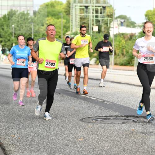 06.09.2026 - CURREX Alsterlauf Dr. Thomas Lammeyer http://msf.ph/oto/10135987 06.09.2026 10:00:49 Laufen 608, 3959, 2583, 35, 3239, 2303, 2988 meine-sportfotos.de