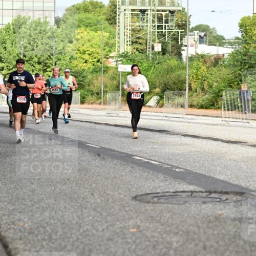 06.09.2026 - CURREX Alsterlauf Dr. Thomas Lammeyer http://msf.ph/oto/10136130 06.09.2026 10:01:01 Laufen 329, 4516, 352, 5718, 3528, 2957, 4593, 3793 meine-sportfotos.de