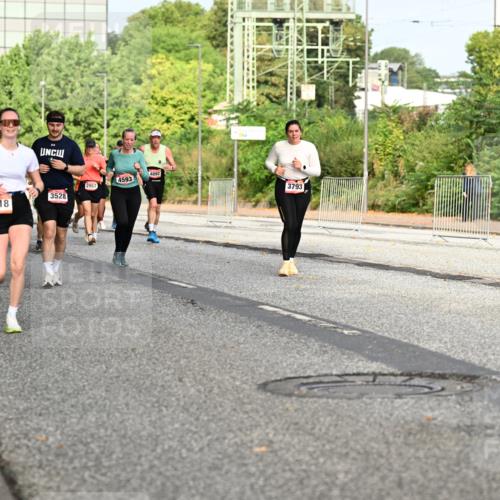 06.09.2026 - CURREX Alsterlauf Dr. Thomas Lammeyer http://msf.ph/oto/10136133 06.09.2026 10:01:02 Laufen 5329, 4516, 352, 3528, 5718, 2957, 4593, 4892, 3793 meine-sportfotos.de