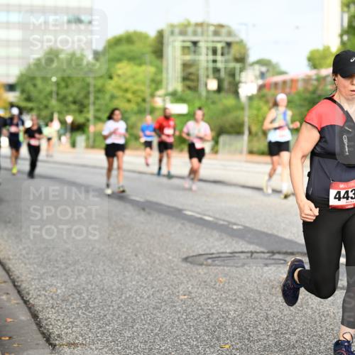06.09.2026 - CURREX Alsterlauf Dr. Thomas Lammeyer http://msf.ph/oto/10136551 06.09.2026 10:01:41 Laufen 4430 meine-sportfotos.de