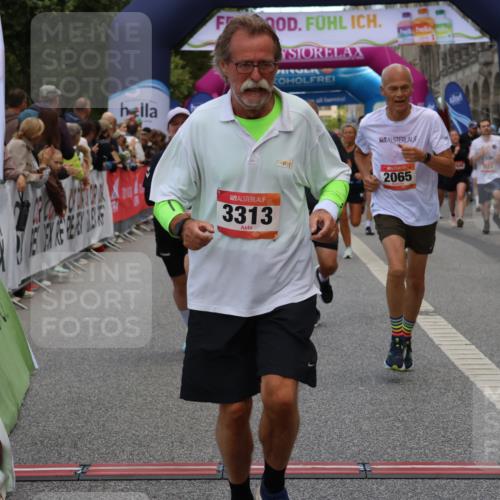 06.09.2026 - CURREX Alsterlauf Strokosch-Dieckow http://msf.ph/oto/10136785 06.09.2026 09:58:54 Ziel 2017, 2065, 2244, 2711, 3078, 3313, 3323, 3691, 4048, 4080, 4081, 4299, 4605, 4779, 5100, 5557, 5661, 6111, 6311 meine-sportfotos.de