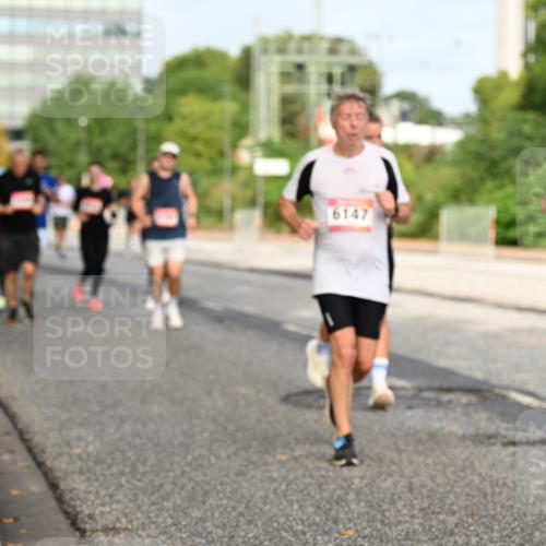 06.09.2026 - CURREX Alsterlauf Dr. Thomas Lammeyer http://msf.ph/oto/10137824 06.09.2026 10:03:47 Laufen 6147 meine-sportfotos.de