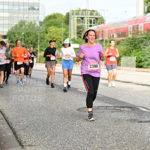 06.09.2026 - CURREX Alsterlauf Dr. Thomas Lammeyer http://msf.ph/oto/10138171 06.09.2026 10:04:21 Laufen 4214, 4590, 2390, 4169 meine-sportfotos.de