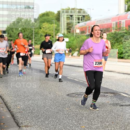 06.09.2026 - CURREX Alsterlauf Dr. Thomas Lammeyer http://msf.ph/oto/10138174 06.09.2026 10:04:22 Laufen 4590, 2390 meine-sportfotos.de