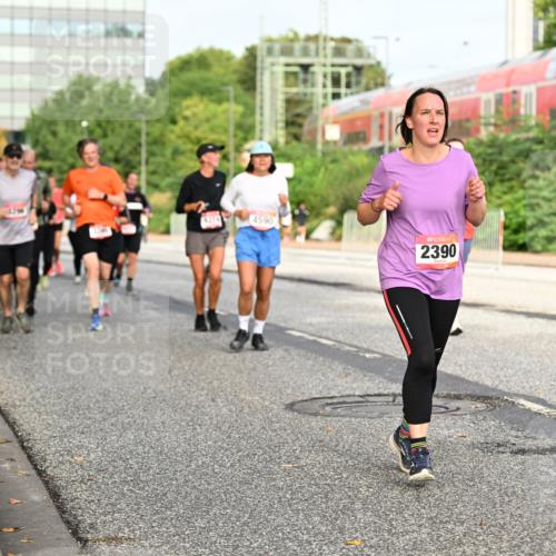 06.09.2026 - CURREX Alsterlauf Dr. Thomas Lammeyer http://msf.ph/oto/10138175 06.09.2026 10:04:22 Laufen 4590, 2390 meine-sportfotos.de