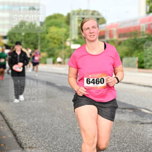 06.09.2026 - CURREX Alsterlauf Dr. Thomas Lammeyer http://msf.ph/oto/10138563 06.09.2026 10:05:00 Laufen 6460 meine-sportfotos.de