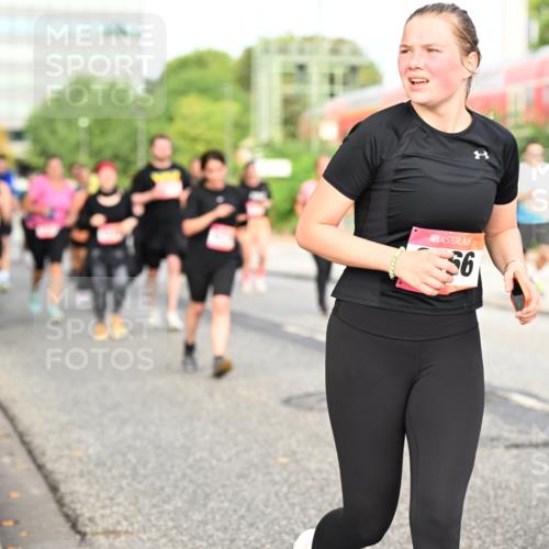 06.09.2026 - CURREX Alsterlauf Dr. Thomas Lammeyer http://msf.ph/oto/10138966 06.09.2026 10:05:40 Laufen 56, 378 meine-sportfotos.de