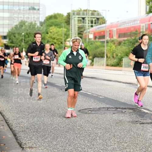 06.09.2026 - CURREX Alsterlauf Dr. Thomas Lammeyer http://msf.ph/oto/10139065 06.09.2026 10:05:50 Laufen 6487, 3908, 4713 meine-sportfotos.de