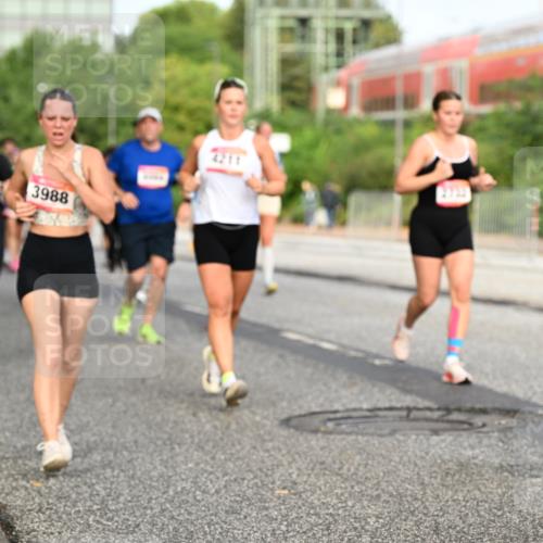 06.09.2026 - CURREX Alsterlauf Dr. Thomas Lammeyer http://msf.ph/oto/10139858 06.09.2026 10:07:09 Laufen 3988, 2211, 337 meine-sportfotos.de