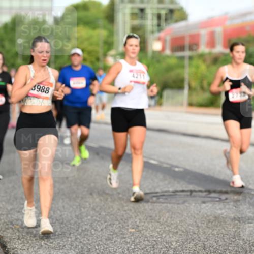 06.09.2026 - CURREX Alsterlauf Dr. Thomas Lammeyer http://msf.ph/oto/10139862 06.09.2026 10:07:10 Laufen 3988, 4211 meine-sportfotos.de