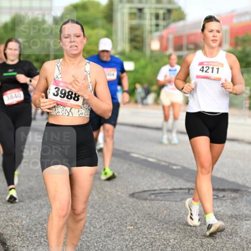06.09.2026 - CURREX Alsterlauf Dr. Thomas Lammeyer http://msf.ph/oto/10139871 06.09.2026 10:07:11 Laufen 3840, 3988, 4211 meine-sportfotos.de
